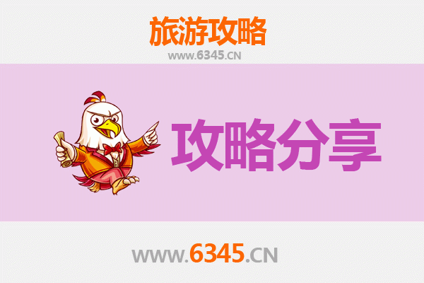 郑州惠济至湄洲岛旅游攻略：跟团还是自由行深度解析