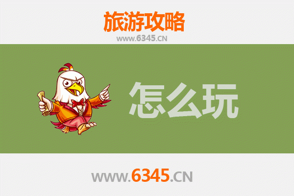 郑州惠济节假日悠闲游：古树花海与黄河风情之旅